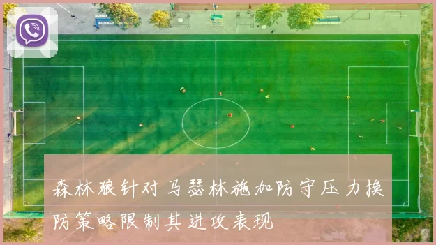 森林狼针对马瑟林施加防守压力换防策略限制其进攻表现